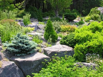 25 уникальных идей для украшения сада природным камнем – утрите нос ландшафтным дизайнерам!