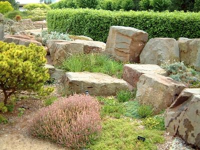 Сад камней (45 фото) – виды и изготовление